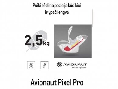 AVIONAUT PIXEL PRO automobilinė kėdutė Beige 0-13 kg 1