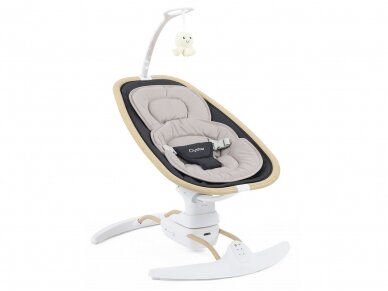 Oyster Smart Motion Rocker  Carbonite